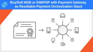 Illustration showing a license document connected to a payment gateway hub with multiple PSP/APM nodes, representing buy/sell MSB/EMI/PSP deal.